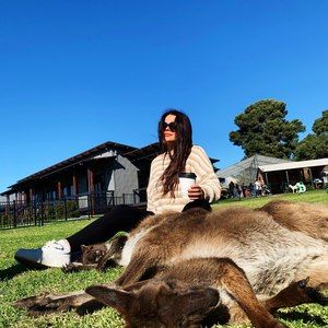 Meet your Posher, Grace